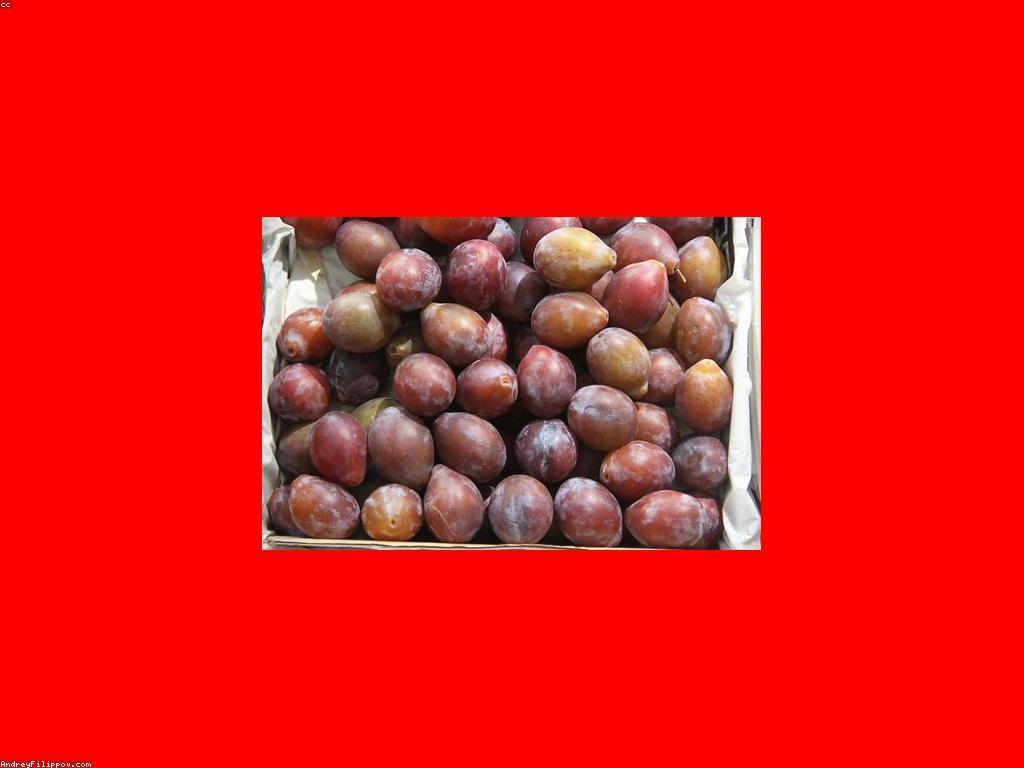 គំនិតសម្រាប់គម្រោងអាជីវកម្មដែលអាចធ្វើអោយជោគជ័យ