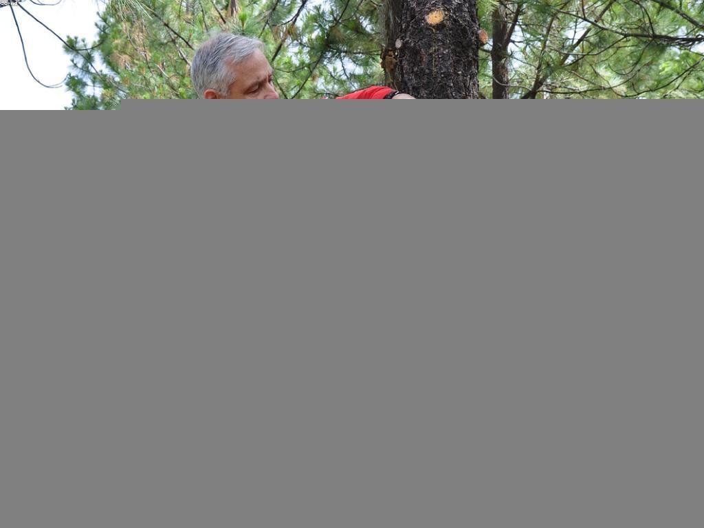 យុទ្ធសាស្ត្រសំរាប់ការគ្រប់គ្រងហិរញ្ញវត្ថុ